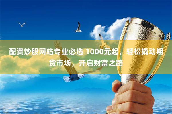 配资炒股网站专业必选 1000元起，轻松撬动期货市场，开启财富之路