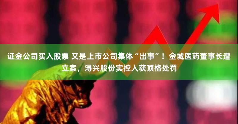 证金公司买入股票 又是上市公司集体“出事”！金城医药董事长遭立案，浔兴股份实控人获顶格处罚