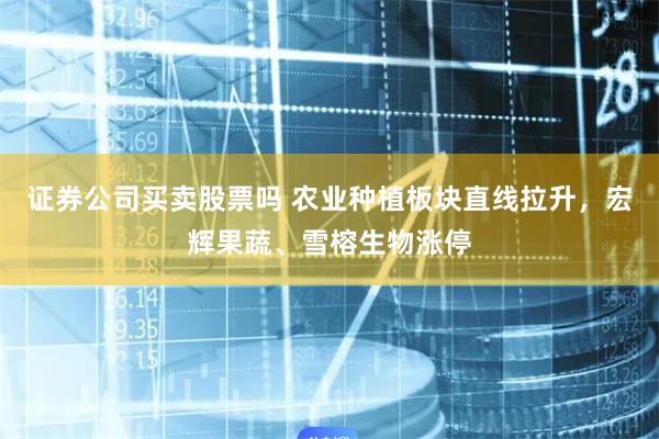 证券公司买卖股票吗 农业种植板块直线拉升，宏辉果蔬、雪榕生物涨停