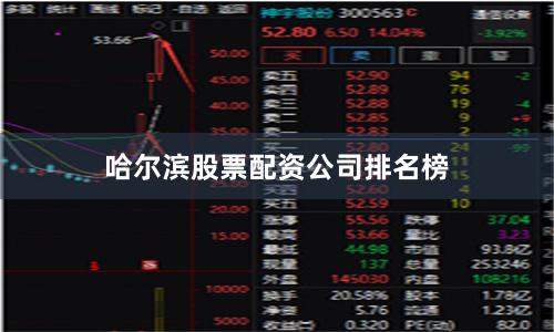 哈尔滨股票配资公司排名榜